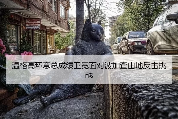 wen-ge-gao-huan-yi-zong-cheng-ji-wei-mian-mian-dui-bo-jia-cha-shan-di-fan-ji-tiao-zhan-3-348.jpg