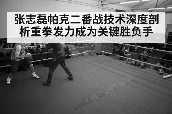 boxer training gym