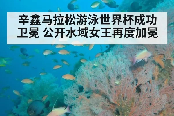 辛鑫马拉松游泳世界杯成功卫冕 公开水域女王再度加冕